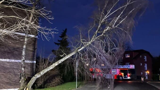 FW Bergheim: Mehrere Sturmeinsätze für die Feuerwehr Bergheim Sieben Einsätze im Stadtgebiet - Bäume auf Fahrzeuge gestürzt