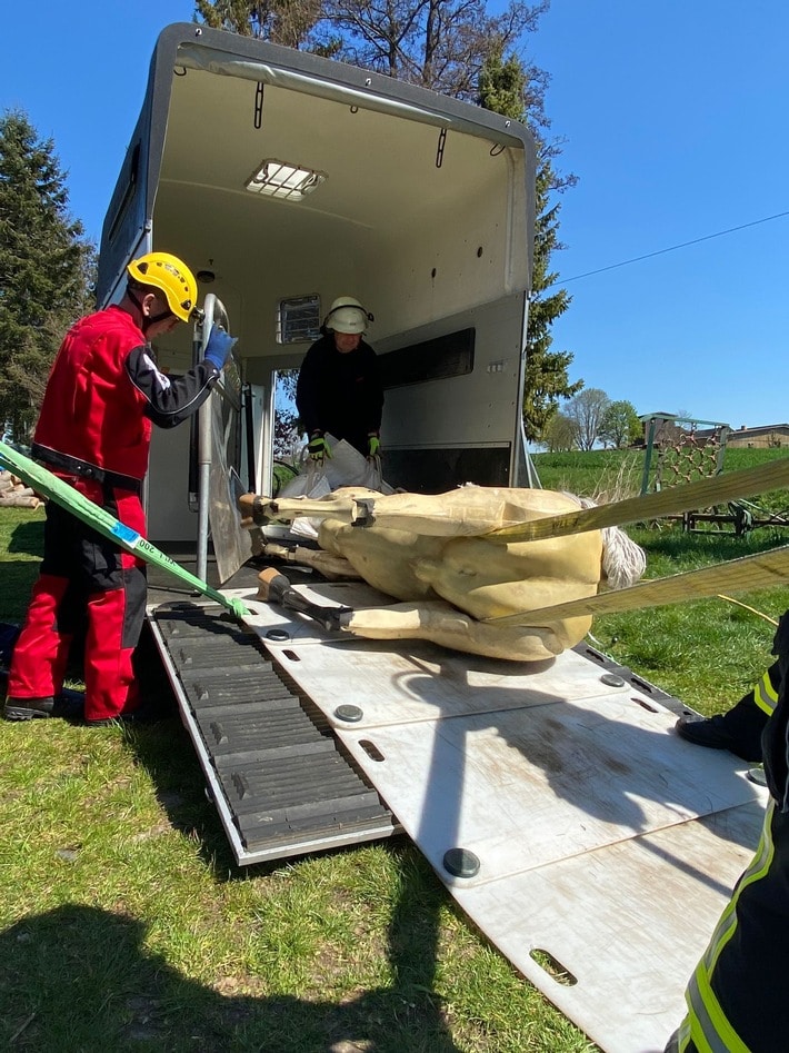 FW Borgentreich: Großtierrettung bei der Feuerwehr Borgentreich.