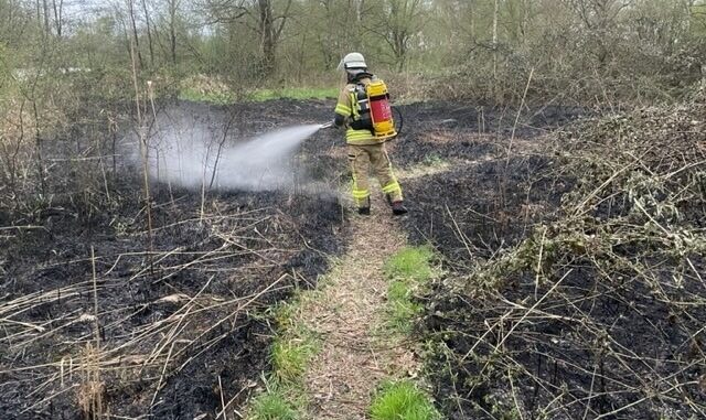 FW Bremerhaven: Feuerwehr Bremerhaven löscht Vegetationsbrand im Forst Reinkenheide