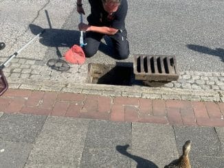 FW Bremerhaven: Feuerwehr rettet Osterküken