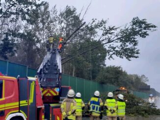 FW Bremerhaven: Mehrere Bäume zur BAB 27 umgeknickt