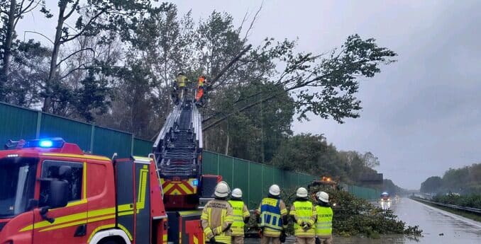 FW Bremerhaven: Mehrere Bäume zur BAB 27 umgeknickt