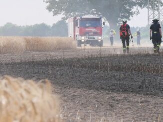 FW Celle: 30.000 m² Stoppelfeld brennen in Garßen