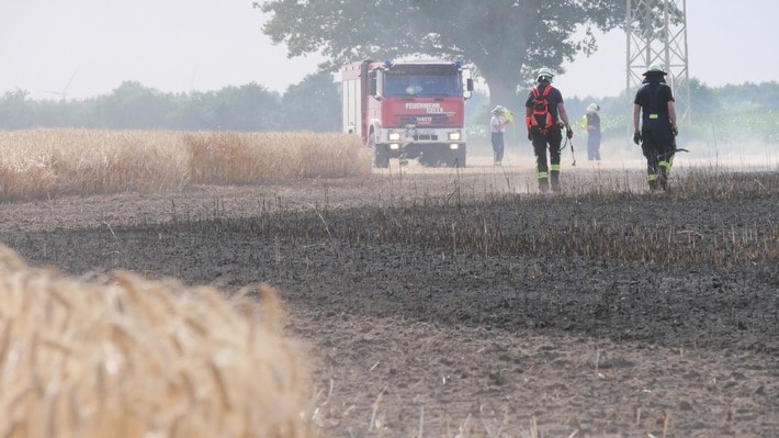 FW Celle: 30.000 m² Stoppelfeld brennen in Garßen