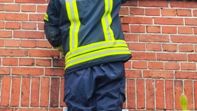 FW Celle: Das hat nicht gepasst - Celler Feuerwehr rettet Katze aus misslicher Lage!