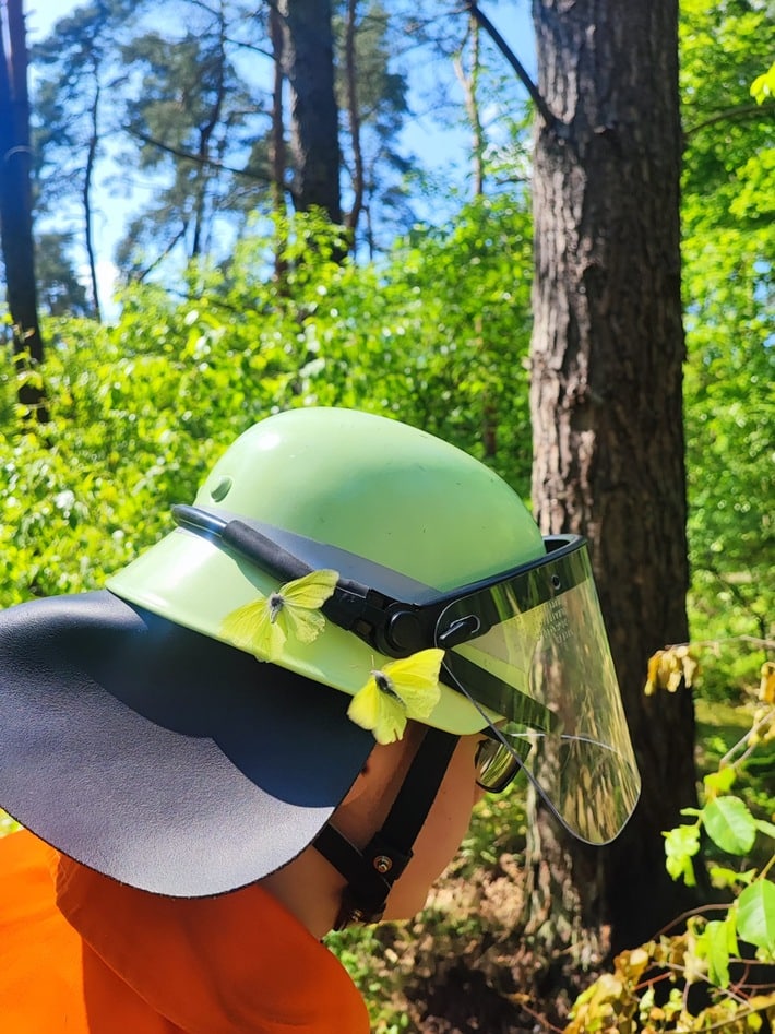 FW Celle: Der Feuerwehr kann man vertrauen / Schmetterlinge landen auf Helm bei Einsatz / 9 Einsätze an Pfingsten in Celle