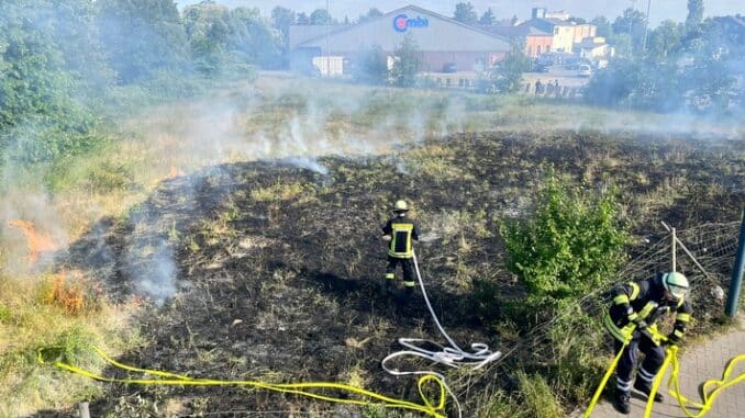 FW Celle: Flächenbrand in der Trüllerstraße