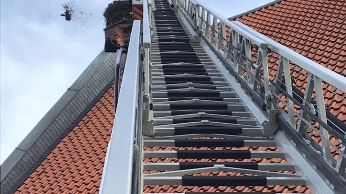 FW Celle: Nestrückbau in Wienhausen