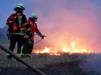 FW Celle: Praktisch geübt - Vegetationsbrandbekämpfung