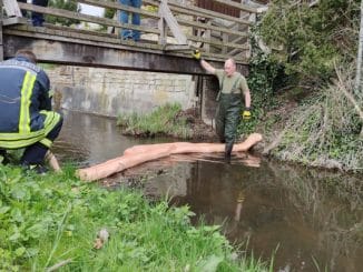 FW Celle: Unbekannter Stoff im Stadtgraben