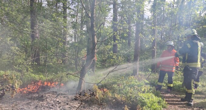 FW Celle: Vegetationsbrand im Lönsweg