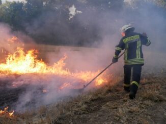 FW Celle: Vegetationsbrandbekämpfung unter realistischen Bedingungen geschult!