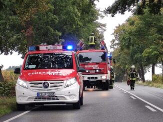 FW Celle: Verkehrsunfall B191