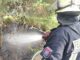 FW Celle: Waldbrand - Erstinformation