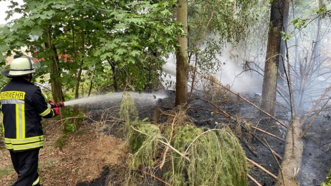 FW Celle: Waldbrand in Groß Hehlen