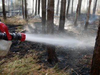 FW Celle: Waldbrand zwischen Scheuen und Hustedt