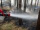 FW Celle: Waldbrand zwischen Scheuen und Hustedt