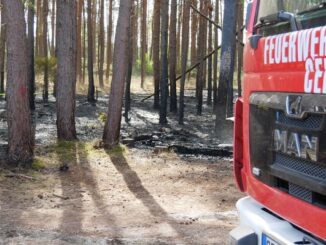 FW Celle: Weiterer Waldbrand zwischen Scheuen und Hustedt sowie Rauchentwicklung im Bereich Hustedt!