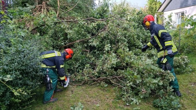 FW Celle: Zwei wetterbedingte Einsätze