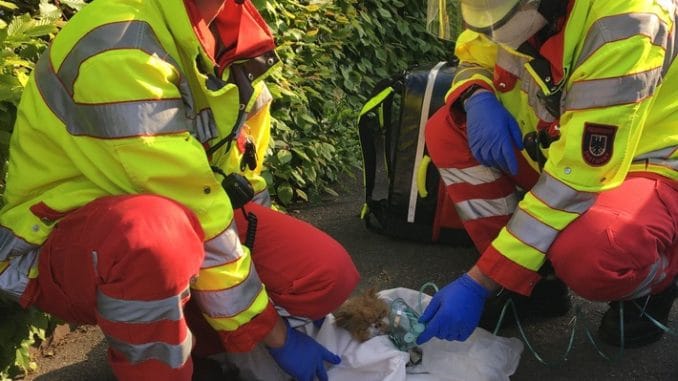 FW-DO: 09.05.2022 - Feuer in Huckarde Wohnungsbrand in Mehrfamilienhaus