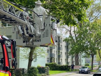 FW-DO: Bienenschwarm auf der Straße beschäftigt Feuerwehr