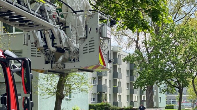 FW-DO: Bienenschwarm auf der Straße beschäftigt Feuerwehr