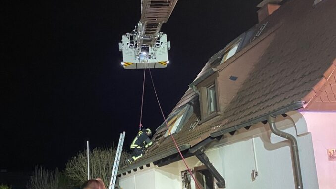 FW-DO: Die Feuerwehr konnte nach Vollbrand des Schlafzimmers zwei Katzen nur noch tot bergen.
