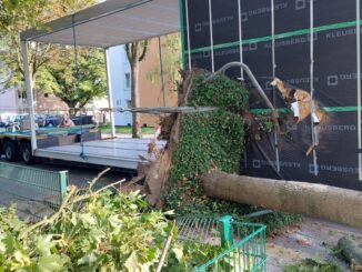 FW-DO: LKW reißt Baum um