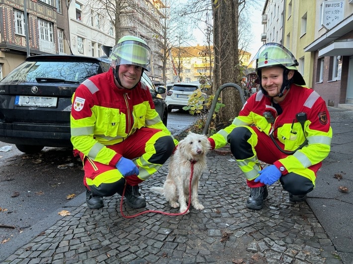 FW-DO: Rauchmelder rettet Hundeleben in Dortmund-Mitte