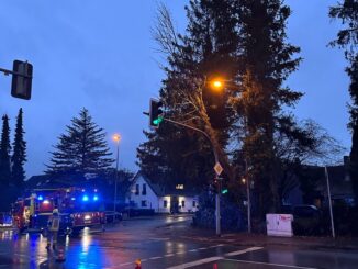 FW-DT: Baum auf Ampelmast