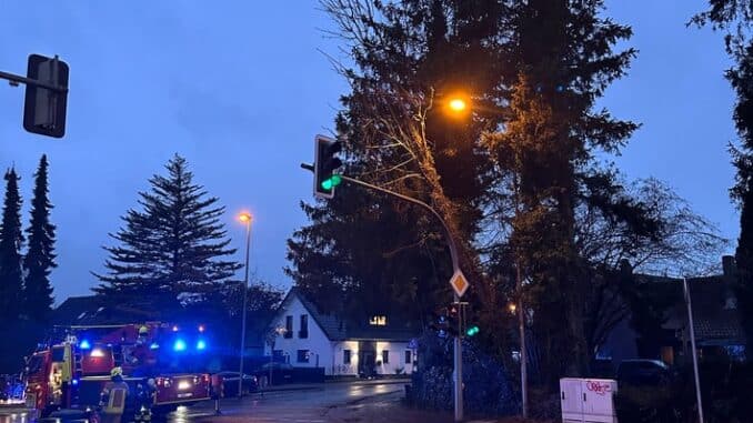 FW-DT: Baum auf Ampelmast