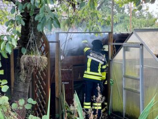 FW-DT: Brennender Gartenschuppen - Vier Hühner gerettet