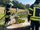 FW-DT: Feuer an landwirtschaftlicher Maschine