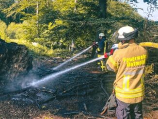 FW-DT: Feuer im Wald und Ölspur beschäftigen Detmolder Wehr