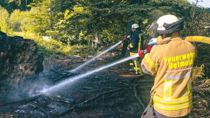 FW-DT: Feuer im Wald und Ölspur beschäftigen Detmolder Wehr