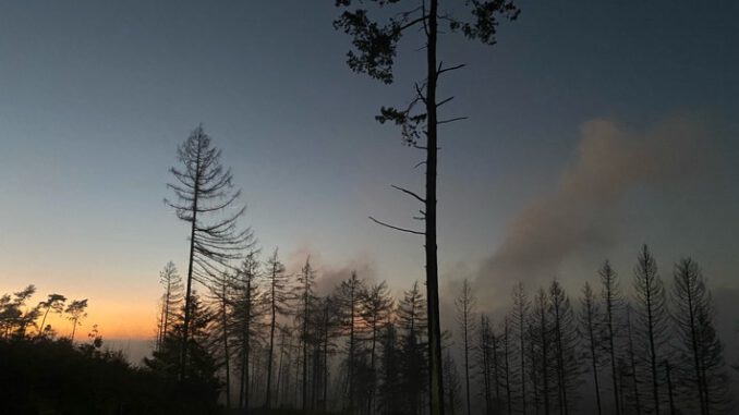 FW-DT: Feuermeldung / Unklare Rauchentwicklung