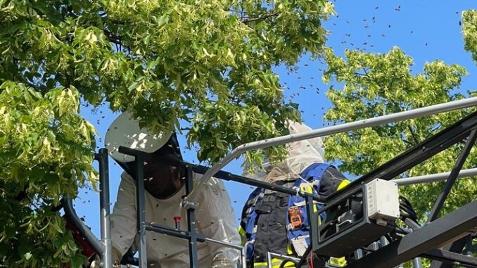 FW-DT: Feuerwehr Detmold rettet rund 8000 Tiere