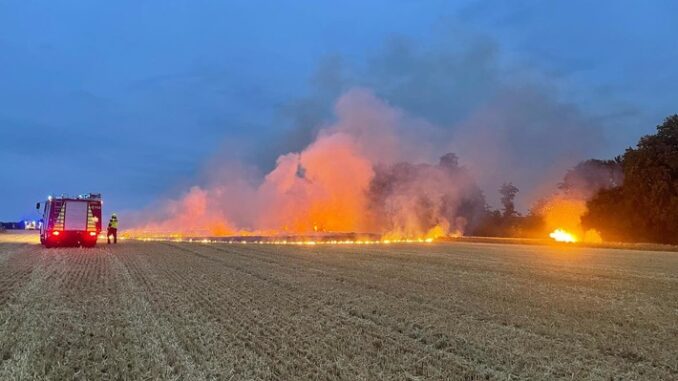 FW-DT: Flächenbrand 3 - rund 100 Einsatzkräfte im Einsatz