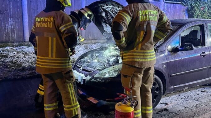 FW-DT: PKW Brand in Ortschaft