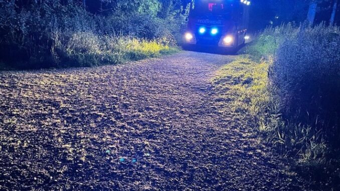 FW-DT: Waldbrand im Leistruper Wald