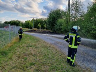 FW Datteln: Flächenbrand von 2 aufmerksamen Jugendlichen gemeldet