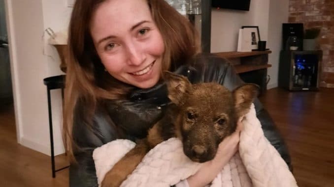 FW Dinslaken: Hundewelpe gerettet