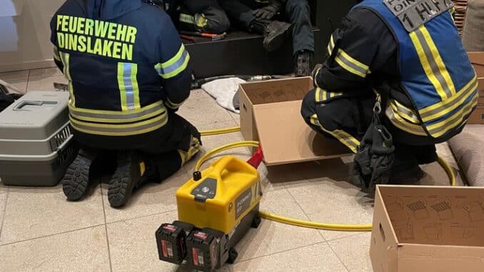 FW Dinslaken: Wildvogelrettung durch die Feuerwehr