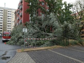 FW Dresden: Informationen zum Einsatzgeschehen der Feuerwehr Dresden vom 15. August 2022