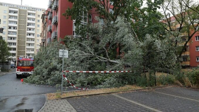 FW Dresden: Informationen zum Einsatzgeschehen der Feuerwehr Dresden vom 15. August 2022