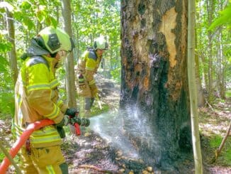 FW Dresden: Mehrere kleinere Waldbrände in der Dresdner Heide