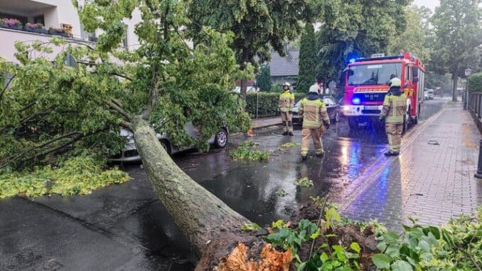 FW Dresden: Mehrere sturmmbedingte Einsätze im Stadtgebiet