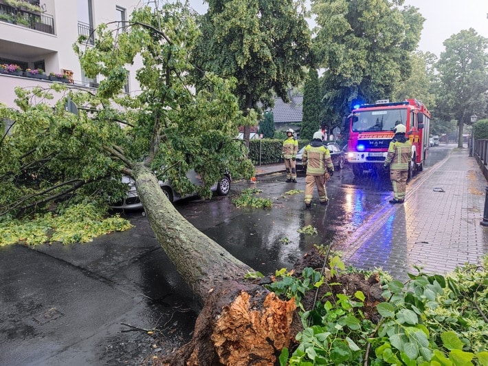FW Dresden: Mehrere sturmmbedingte Einsätze im Stadtgebiet