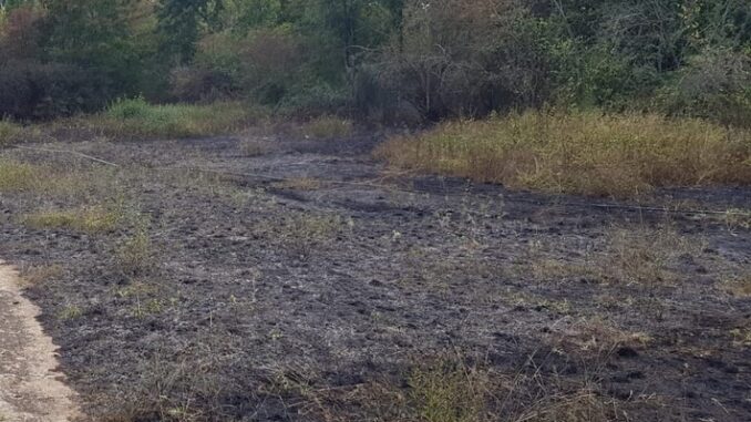 FW Düren: Flächenbrand