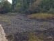 FW Düren: Flächenbrand